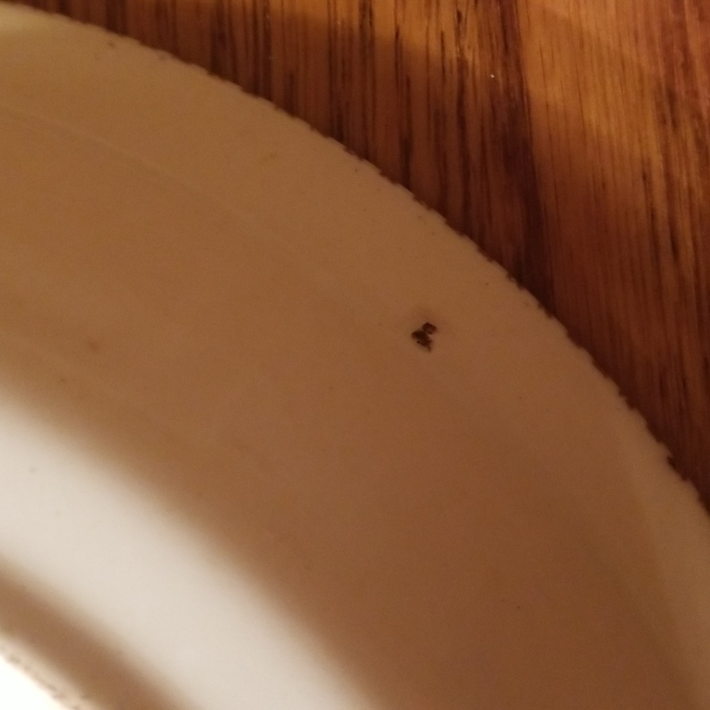 Royal China "American Farm Scene " Currier & Ives Pie Plate - Picture 11 of 16